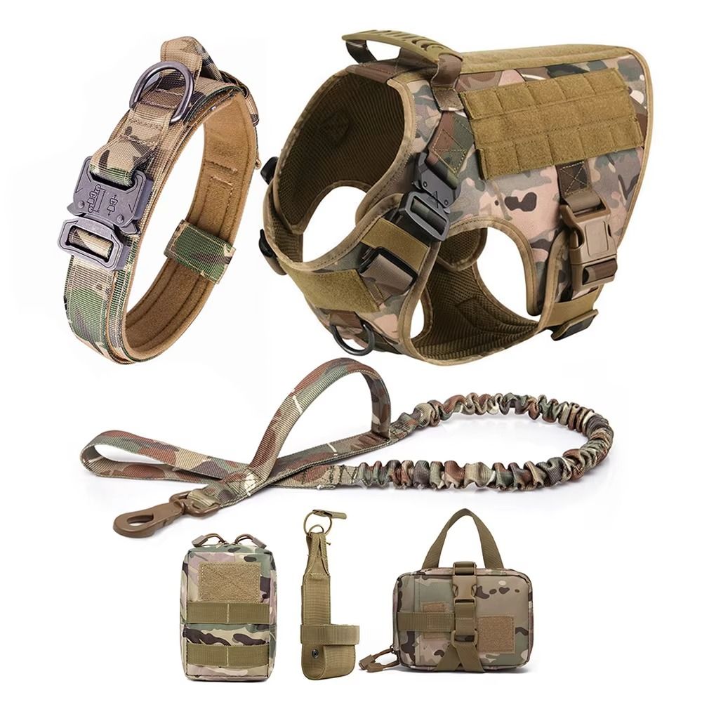 Perro equipado con el kit tactico completo