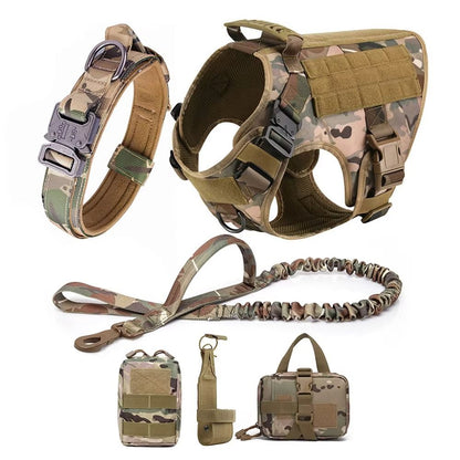 Perro equipado con el kit tactico completo