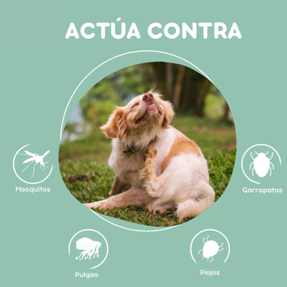 Champú Merforsan Natural Repelente con Citronela para Perros
