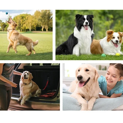 Toallitas para Ojos de Perro