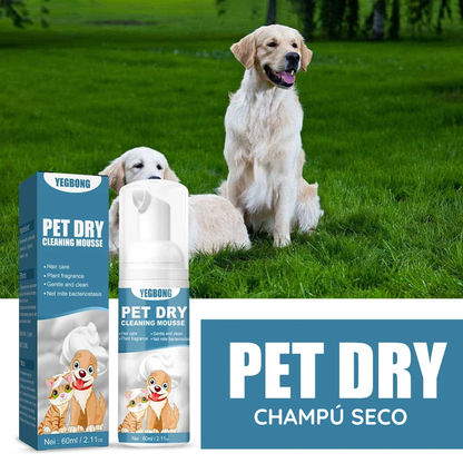 Champú Seco para Perro