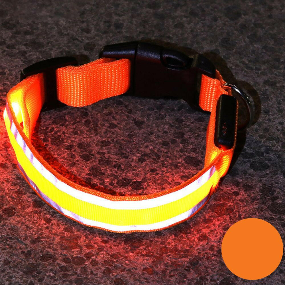 Leuchtendes Halsband für Haustiere