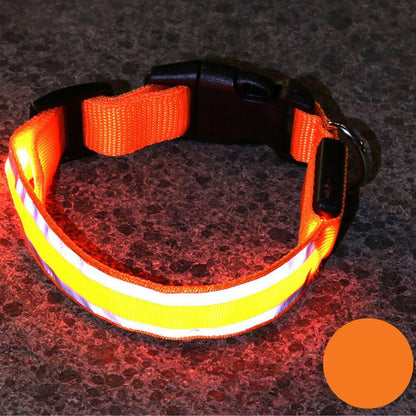 Leuchtendes Halsband für Haustiere