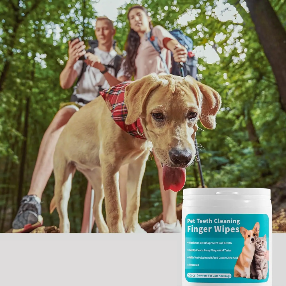 Pack de toallitas dentales para perro