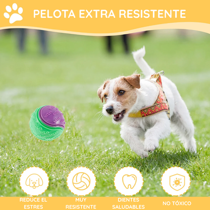 Perro jugando con una de las pelotas sonoras del pack