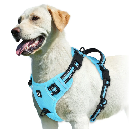 Arnés Reflectante Antitirones