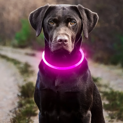 Collar LED Recargable 360