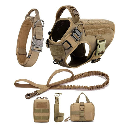 Detalle de los enganches y hebillas del kit tactico para perro