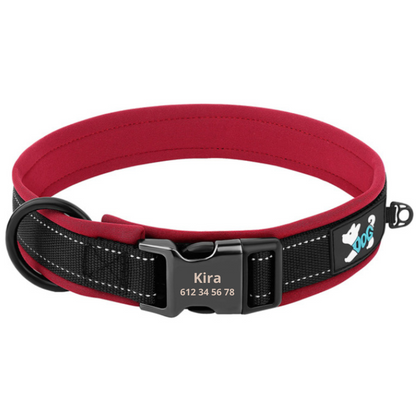 Collar Personalizado Reflectante y Acolchado