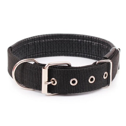Collar de Nylon para Perro
