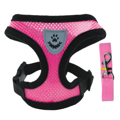 Colores y tallas disponibles del arnes de verano para perro pequeno