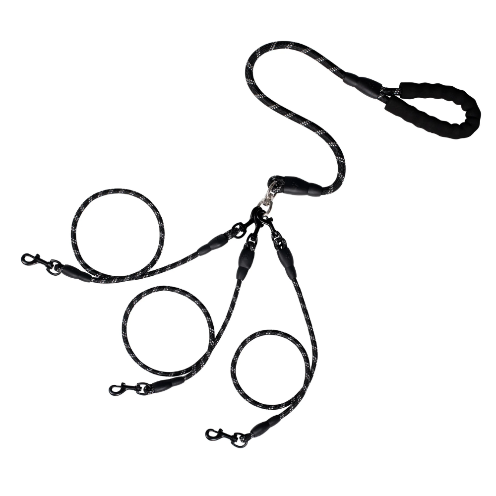Correa Modular para Varios Perros