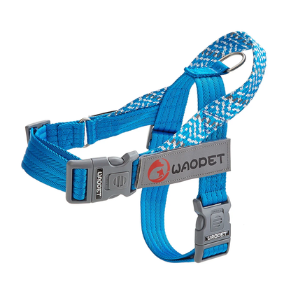 Colores y tallas disponibles del arnes WAOPET de seguridad para perro