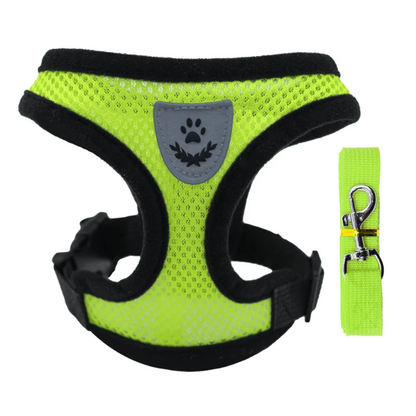 Arnés de Verano para Perro Pequeño
