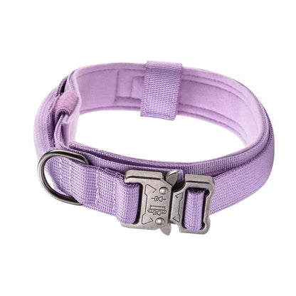 Collar Táctico para Perro estilo Deportivo