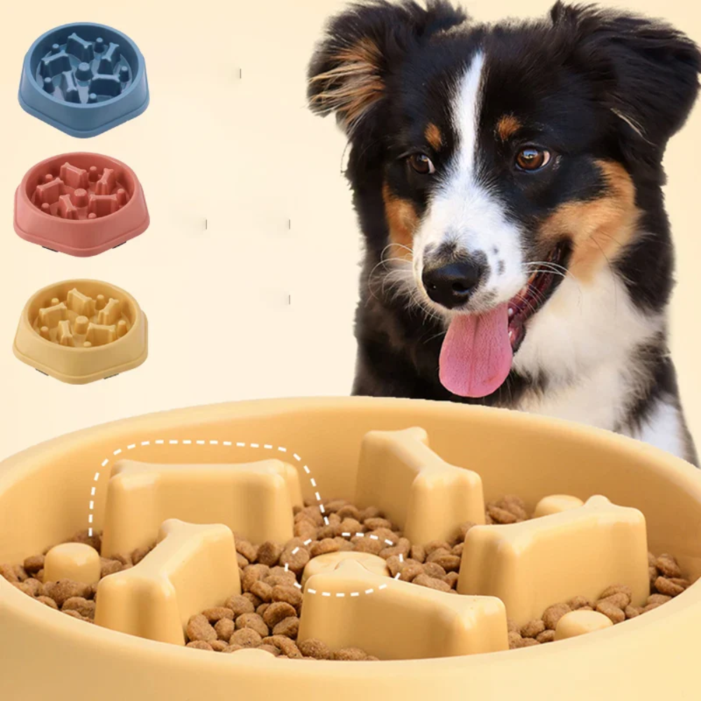 Cuenco Antiansiedad para Perro