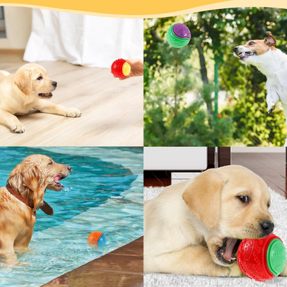 Colores y disenos de las pelotas sonoras del pack para perro
