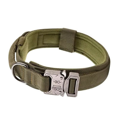 Collar Táctico para Perro estilo Deportivo