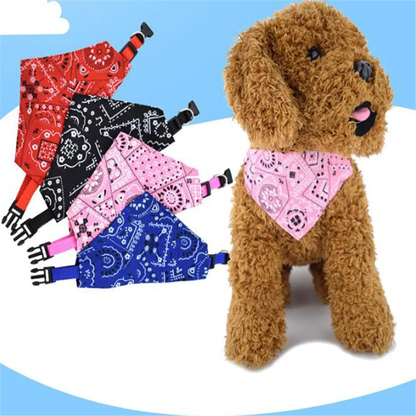 Pañuelo Bandana Ajustable
