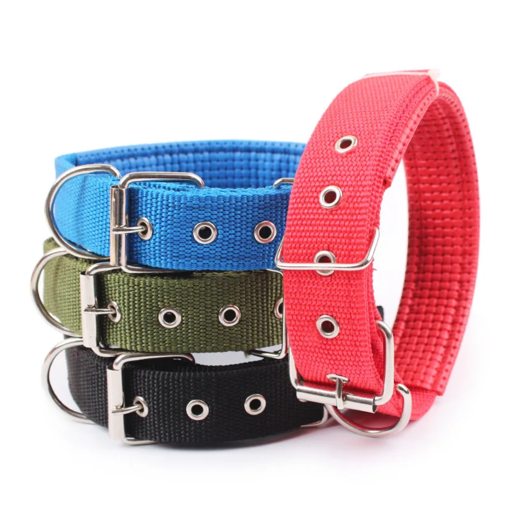 Collar de Nylon para Perro