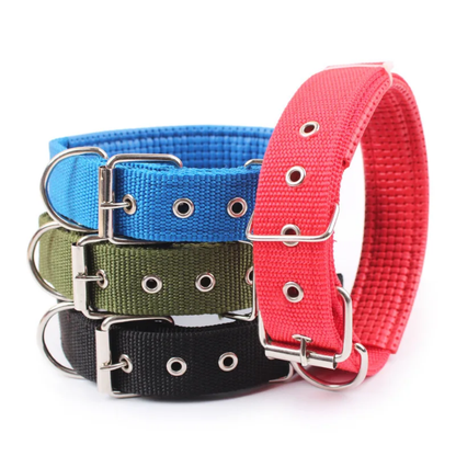Collar de Nylon para Perro