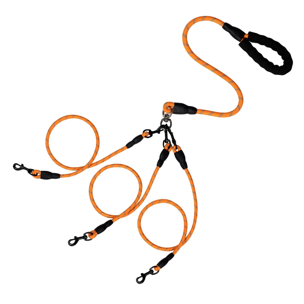 Correa Modular para Varios Perros