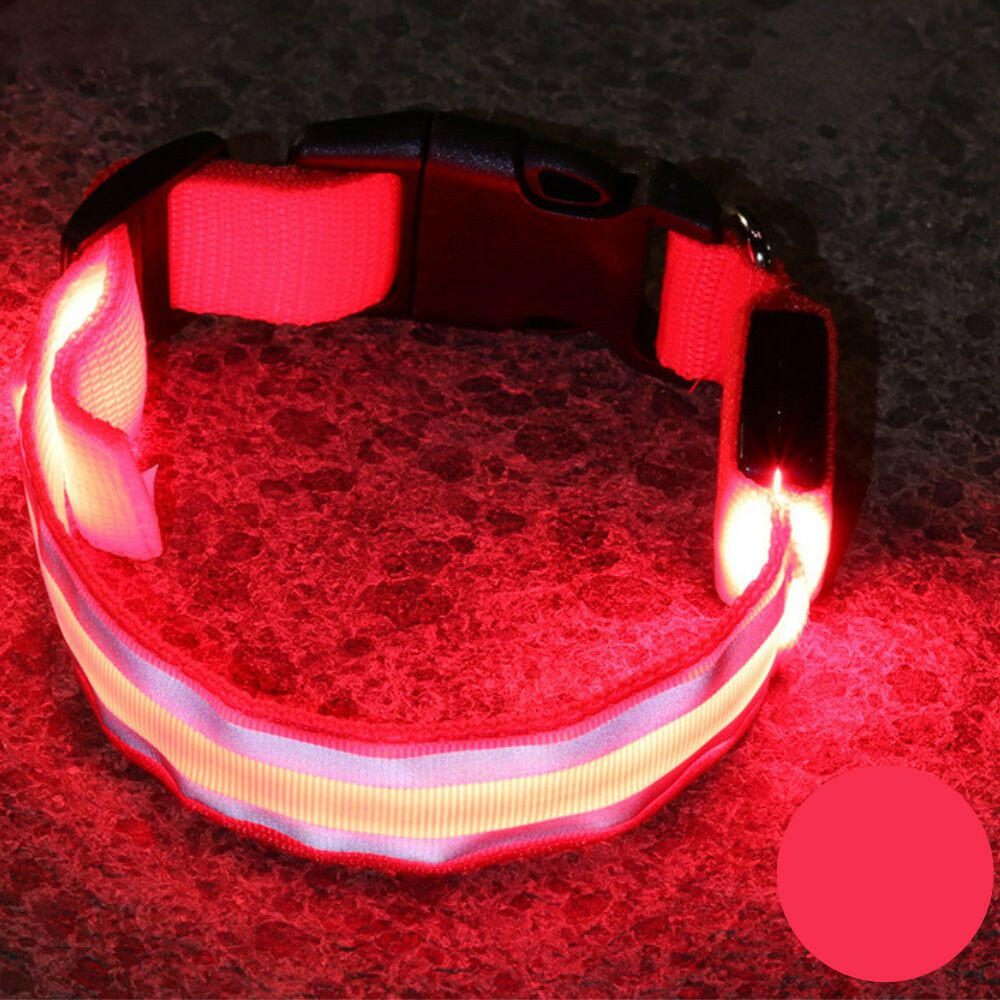 Leuchtendes Halsband für Haustiere