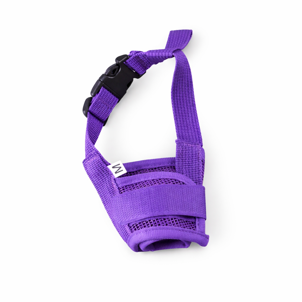 Colores disponibles del bozal resistente y ajustable para perro