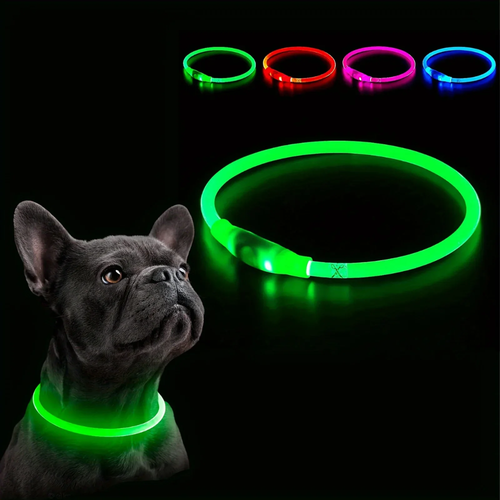 Collar LED Recargable 360