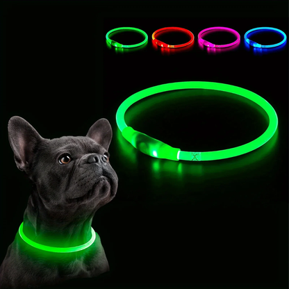 Collar LED Recargable 360